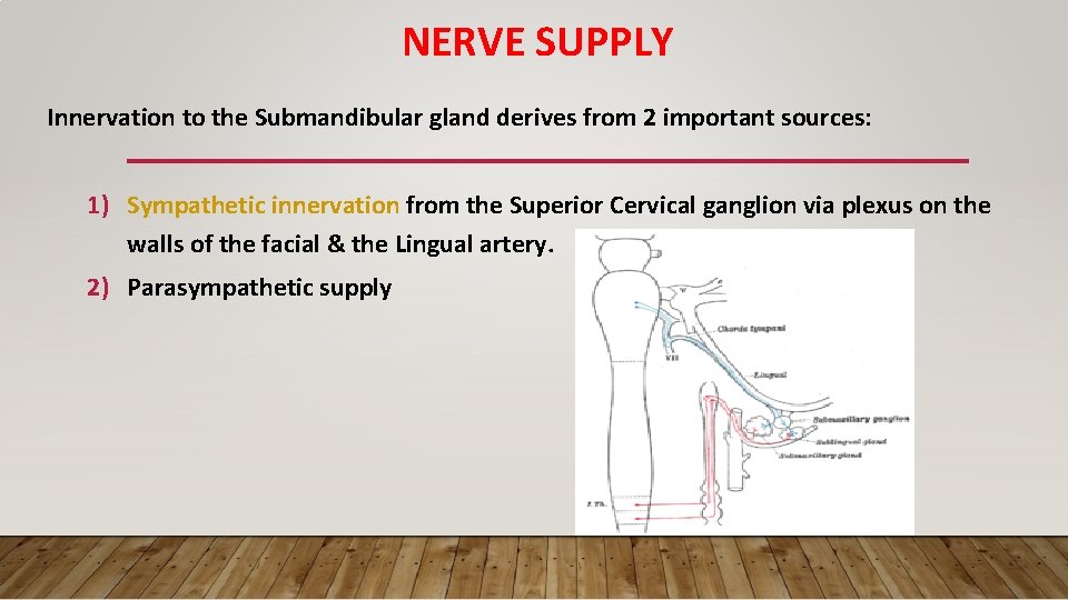 NERVE SUPPLY Innervation to the Submandibular gland derives from 2 important sources: 1) Sympathetic
