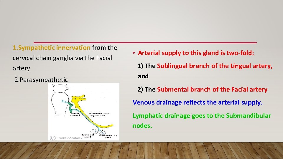 1. Sympathetic innervation from the cervical chain ganglia via the Facial artery 2. Parasympathetic