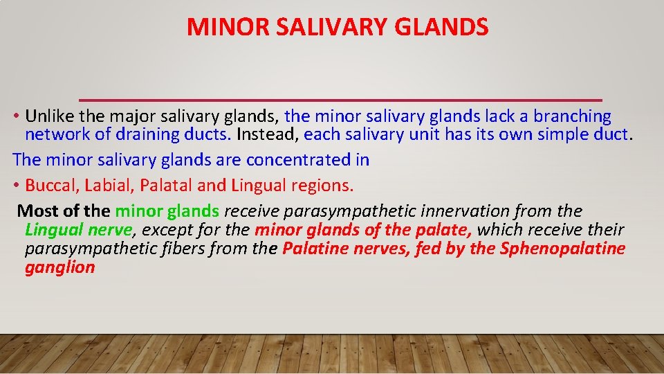 MINOR SALIVARY GLANDS • Unlike the major salivary glands, the minor salivary glands lack