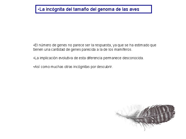 • La incógnita del tamaño del genoma de las aves • El número • La incógnita del tamaño del genoma de las aves • El número