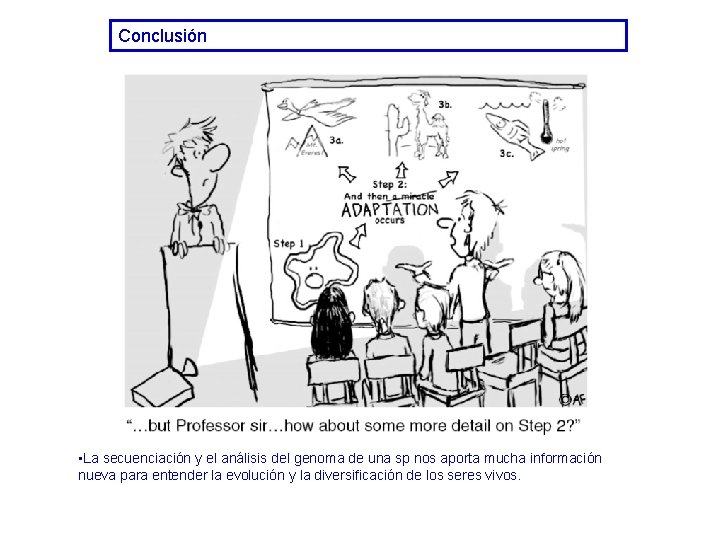 Conclusión • La secuenciación y el análisis del genoma de una sp nos aporta Conclusión • La secuenciación y el análisis del genoma de una sp nos aporta