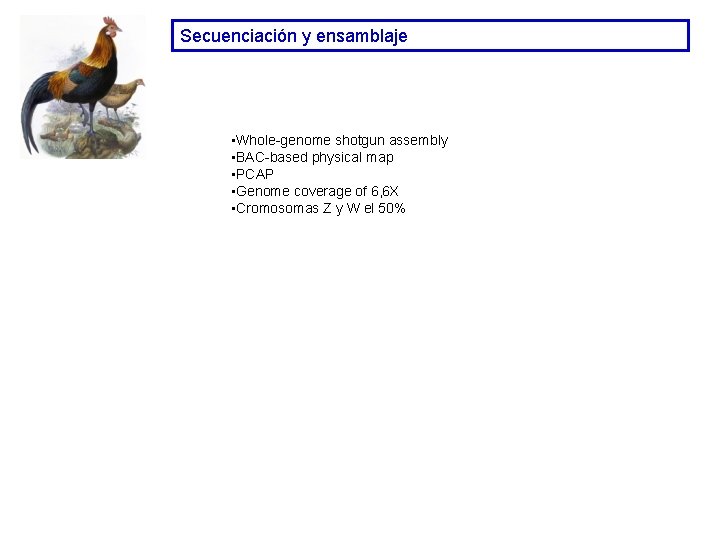 Secuenciación y ensamblaje • Whole-genome shotgun assembly • BAC-based physical map • PCAP • Secuenciación y ensamblaje • Whole-genome shotgun assembly • BAC-based physical map • PCAP •