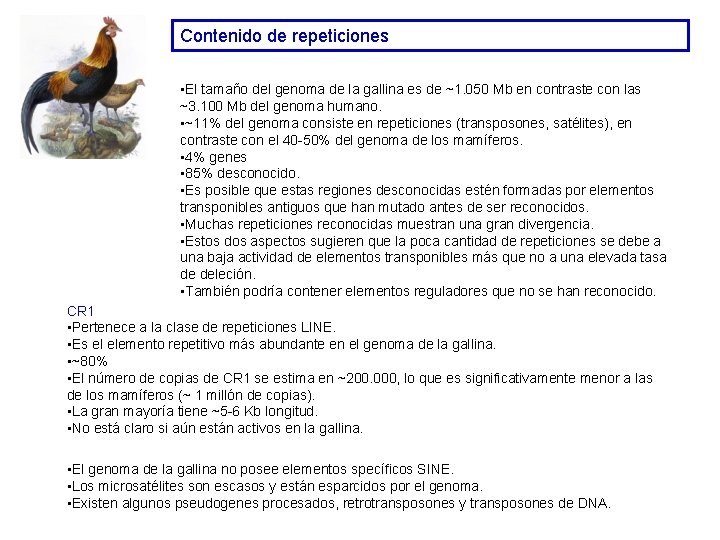 Contenido de repeticiones • El tamaño del genoma de la gallina es de ~1. Contenido de repeticiones • El tamaño del genoma de la gallina es de ~1.