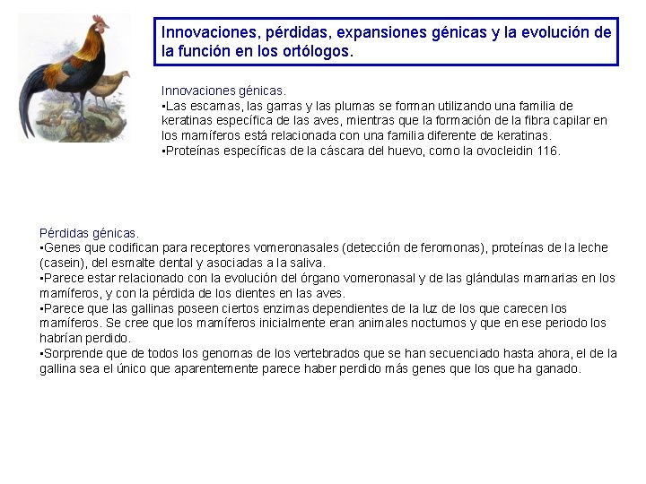 Innovaciones, pérdidas, expansiones génicas y la evolución de la función en los ortólogos. Innovaciones Innovaciones, pérdidas, expansiones génicas y la evolución de la función en los ortólogos. Innovaciones