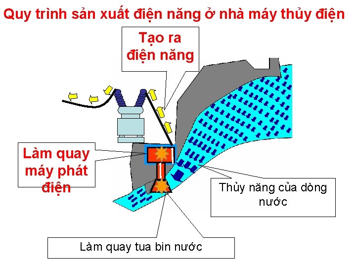 Quy trình sản xuất điện năng ở nhà máy thủy điện Tạo ra điện