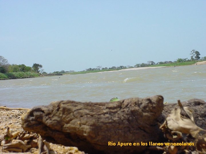 Río Apure en los llanos venezolanos 