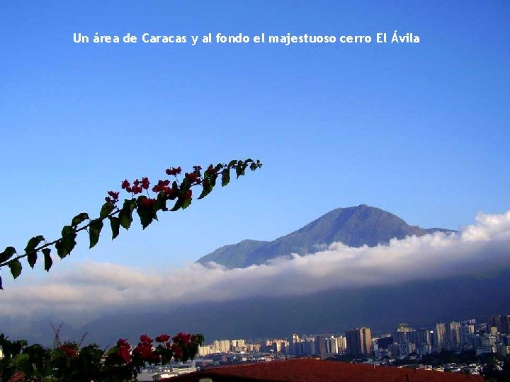 Un área de Caracas y al fondo el majestuoso cerro El Ávila 