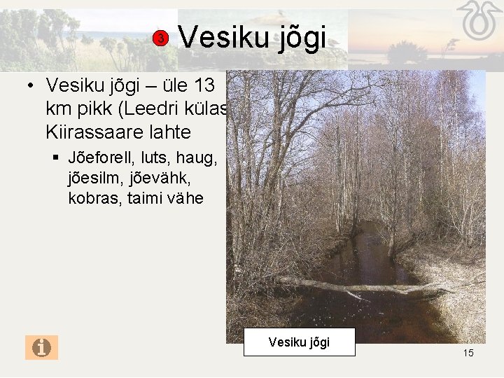 3 Vesiku jõgi • Vesiku jõgi – üle 13 km pikk (Leedri külast Kiirassaare 3 Vesiku jõgi • Vesiku jõgi – üle 13 km pikk (Leedri külast Kiirassaare