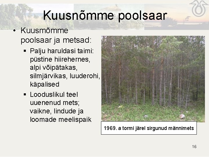 Kuusnõmme poolsaar • Kuusmõmme poolsaar ja metsad: § Palju haruldasi taimi: püstine hiirehernes, alpi Kuusnõmme poolsaar • Kuusmõmme poolsaar ja metsad: § Palju haruldasi taimi: püstine hiirehernes, alpi