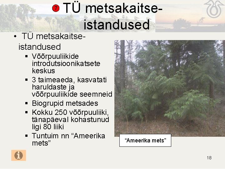 7 TÜ metsakaitseistandused • TÜ metsakaitseistandused § Võõrpuuliikide introdutsioonikatsete keskus § 3 taimeaeda, kasvatati 7 TÜ metsakaitseistandused • TÜ metsakaitseistandused § Võõrpuuliikide introdutsioonikatsete keskus § 3 taimeaeda, kasvatati