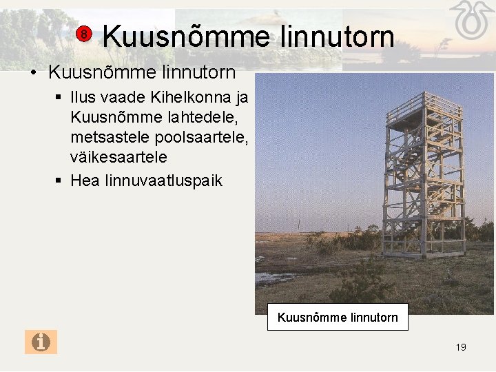 8 Kuusnõmme linnutorn • Kuusnõmme linnutorn § Ilus vaade Kihelkonna ja Kuusnõmme lahtedele, metsastele 8 Kuusnõmme linnutorn • Kuusnõmme linnutorn § Ilus vaade Kihelkonna ja Kuusnõmme lahtedele, metsastele
