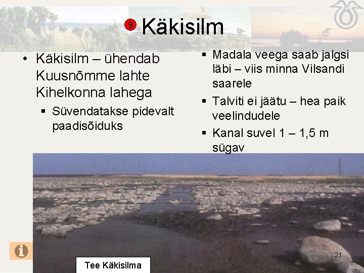 9 Käkisilm • Käkisilm – ühendab Kuusnõmme lahte Kihelkonna lahega § Süvendatakse pidevalt paadisõiduks 9 Käkisilm • Käkisilm – ühendab Kuusnõmme lahte Kihelkonna lahega § Süvendatakse pidevalt paadisõiduks