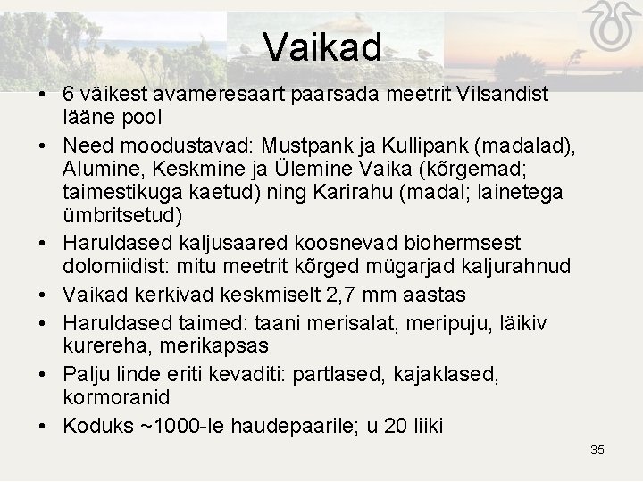 Vaikad • 6 väikest avameresaart paarsada meetrit Vilsandist lääne pool • Need moodustavad: Mustpank Vaikad • 6 väikest avameresaart paarsada meetrit Vilsandist lääne pool • Need moodustavad: Mustpank