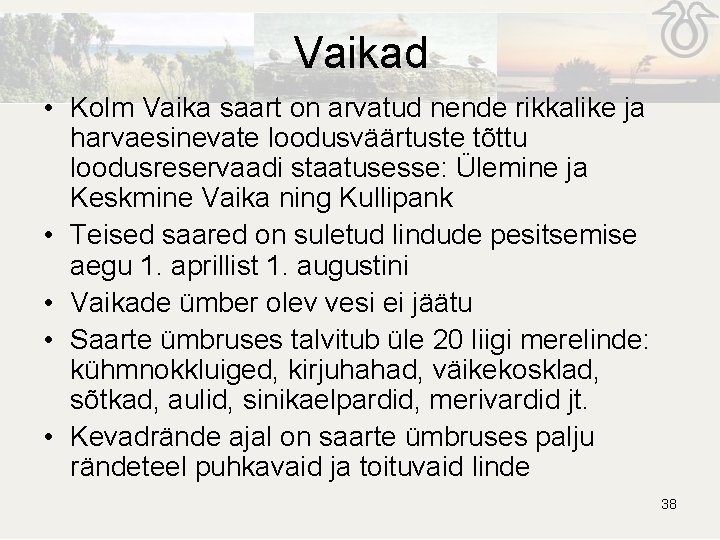 Vaikad • Kolm Vaika saart on arvatud nende rikkalike ja harvaesinevate loodusväärtuste tõttu loodusreservaadi Vaikad • Kolm Vaika saart on arvatud nende rikkalike ja harvaesinevate loodusväärtuste tõttu loodusreservaadi
