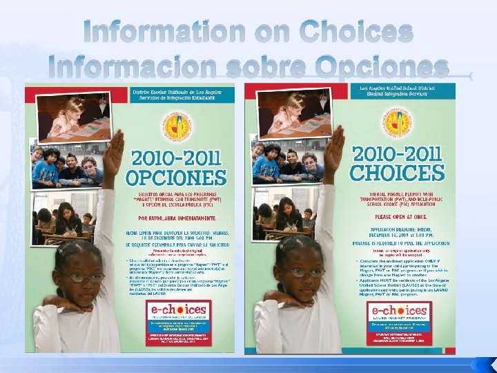 Information on Choices Informacion sobre Opciones 