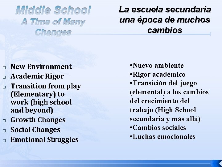 Middle School A Time of Many Changes � � � New Environment Academic Rigor