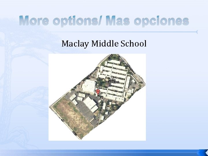 More options/ Mas opciones Maclay Middle School 