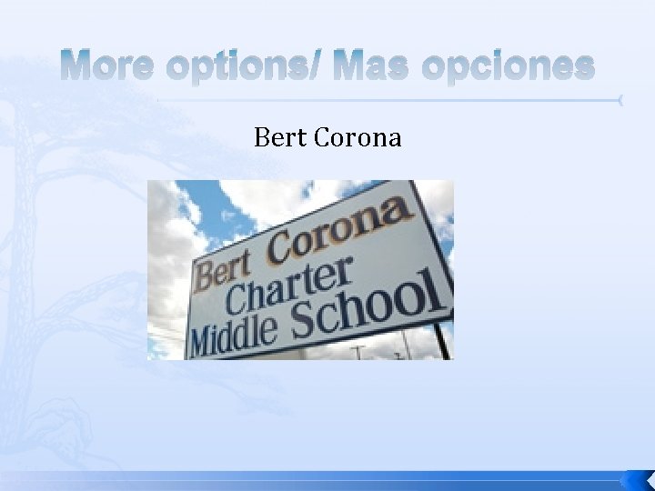 More options/ Mas opciones Bert Corona 