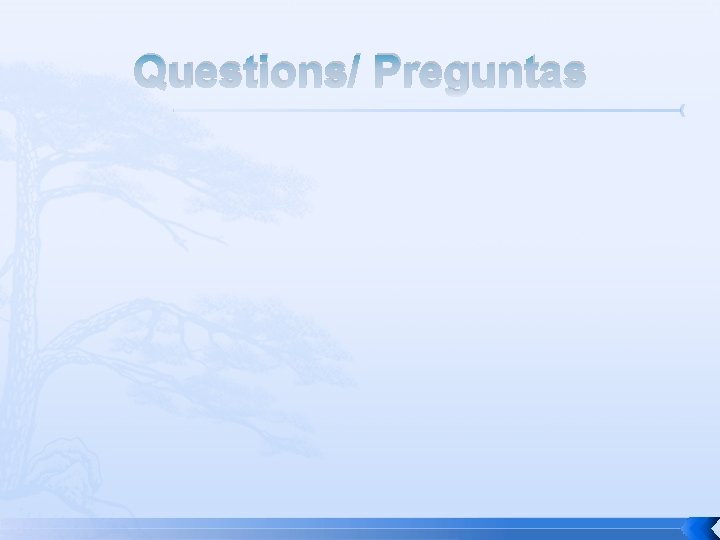 Questions/ Preguntas 
