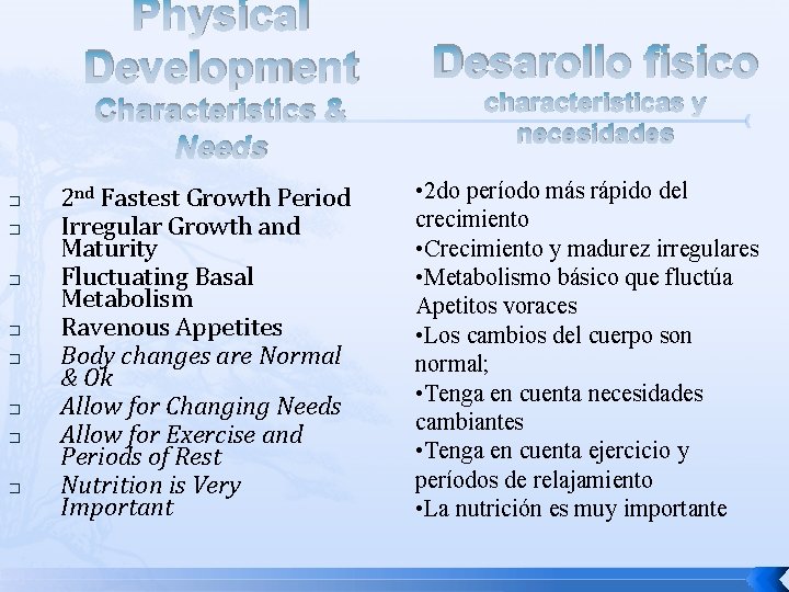 Physical Development Characteristics & Needs � � � � 2 nd Fastest Growth Period