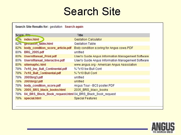 Search Site 