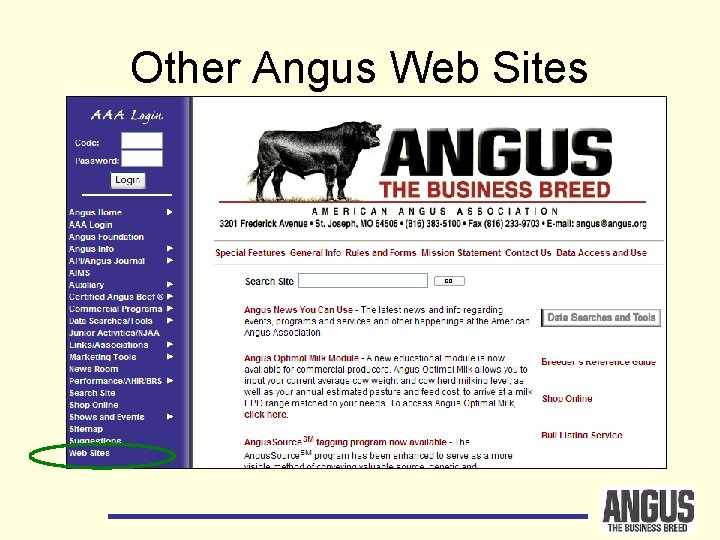 Other Angus Web Sites 