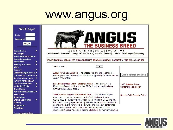 www. angus. org 