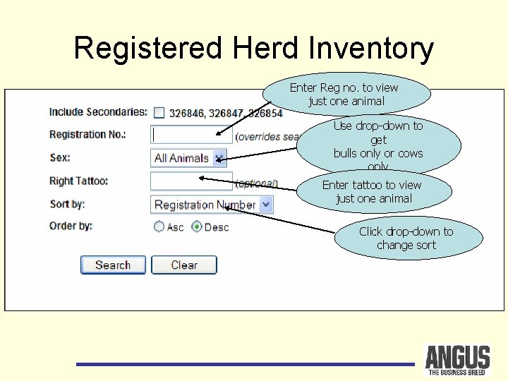 Registered Herd Inventory Enter Reg no. to view just one animal Use drop-down to