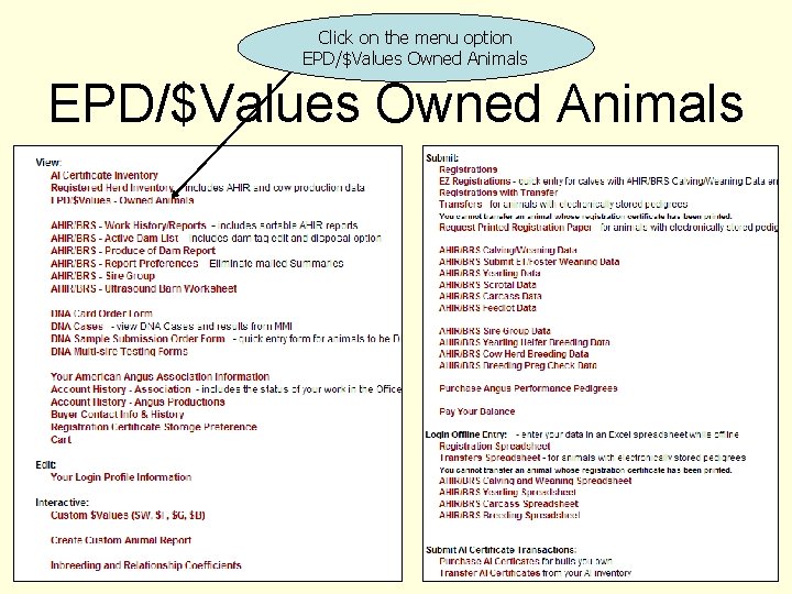 Click on the menu option EPD/$Values Owned Animals 