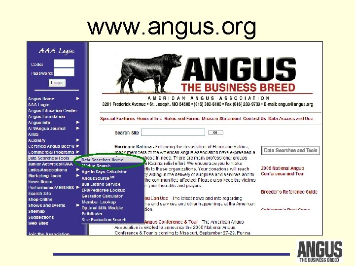 www. angus. org 