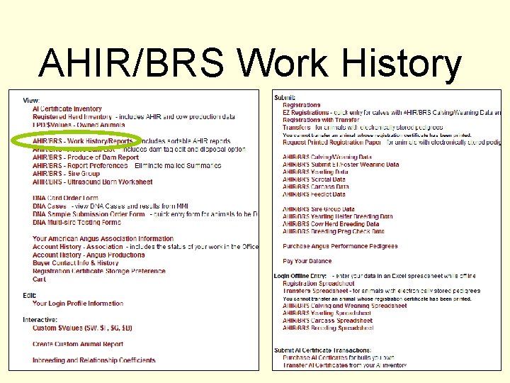 AHIR/BRS Work History 