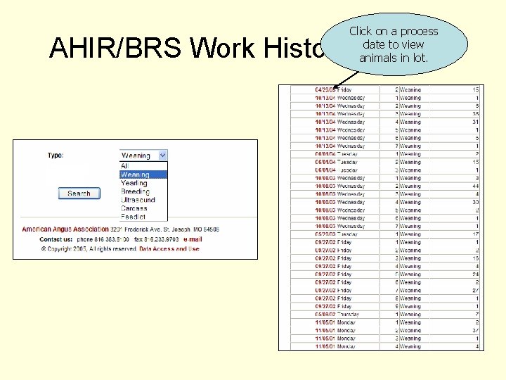 Click on a process date to view animals in lot. AHIR/BRS Work History/Reports 