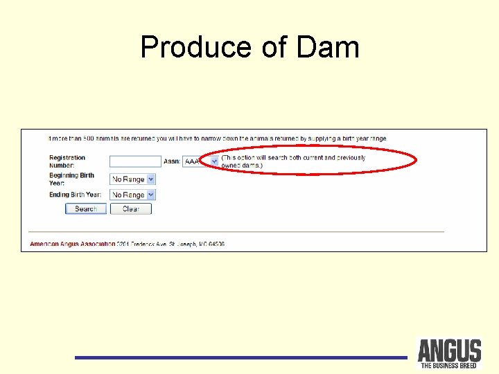 Produce of Dam 