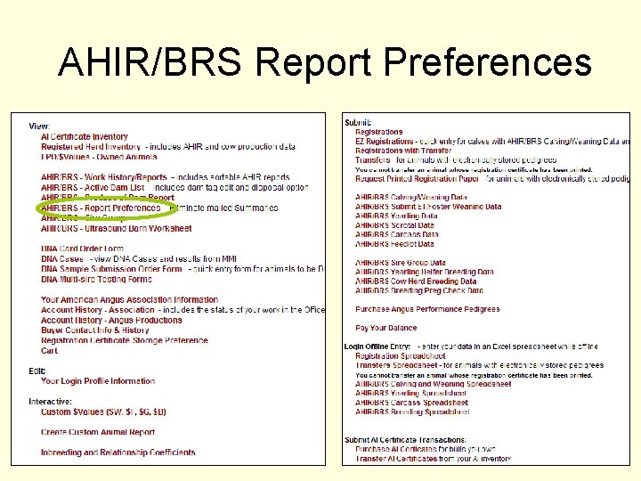 AHIR/BRS Report Preferences 