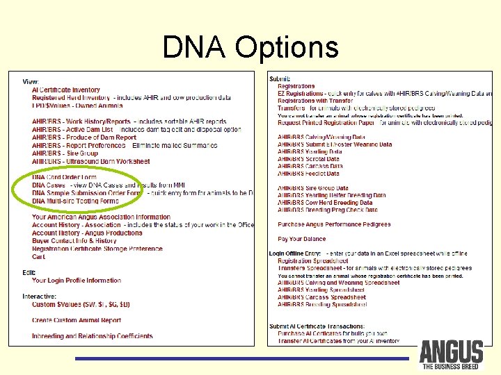 DNA Options 