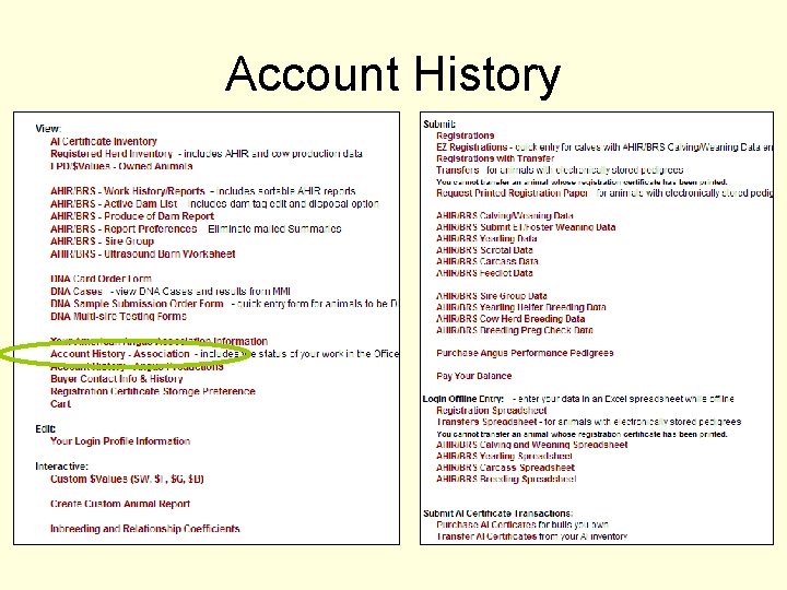 Account History 