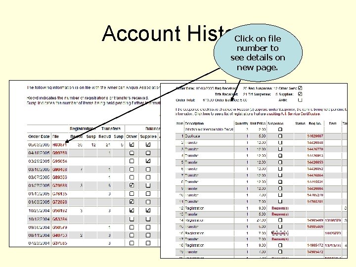 Account History Click on file number to see details on new page. 