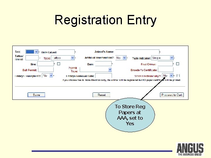 Registration Entry To Store Reg Papers at AAA, set to Yes 