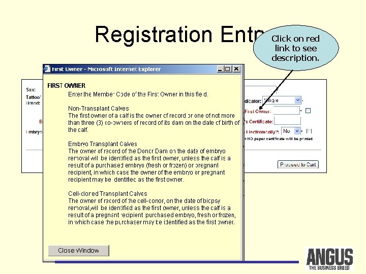 Registration Entry Click on red link to see description. 