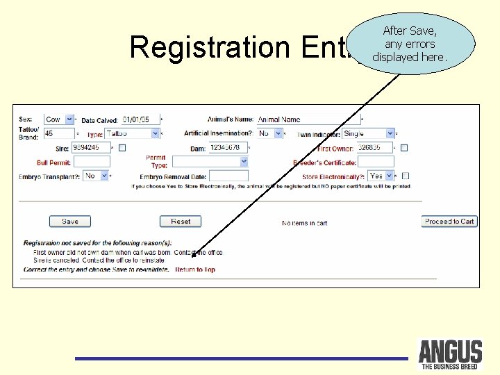 Registration Entry After Save, any errors displayed here. 