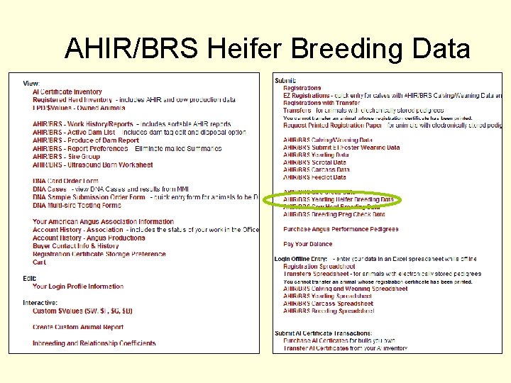 AHIR/BRS Heifer Breeding Data 