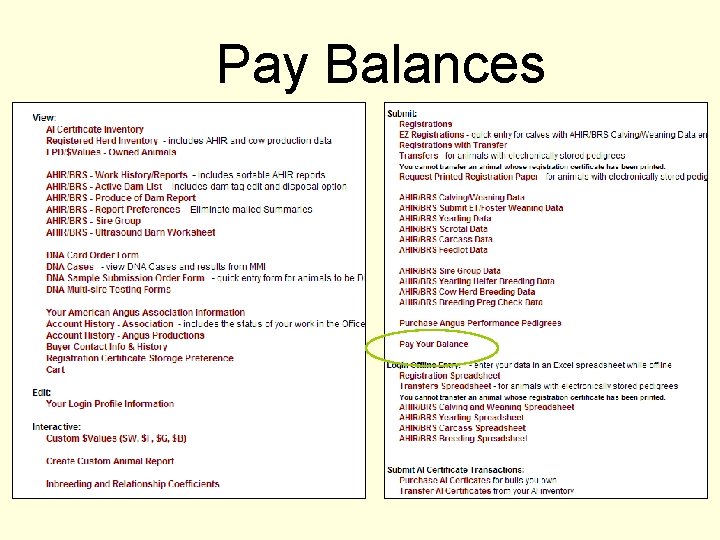 Pay Balances 