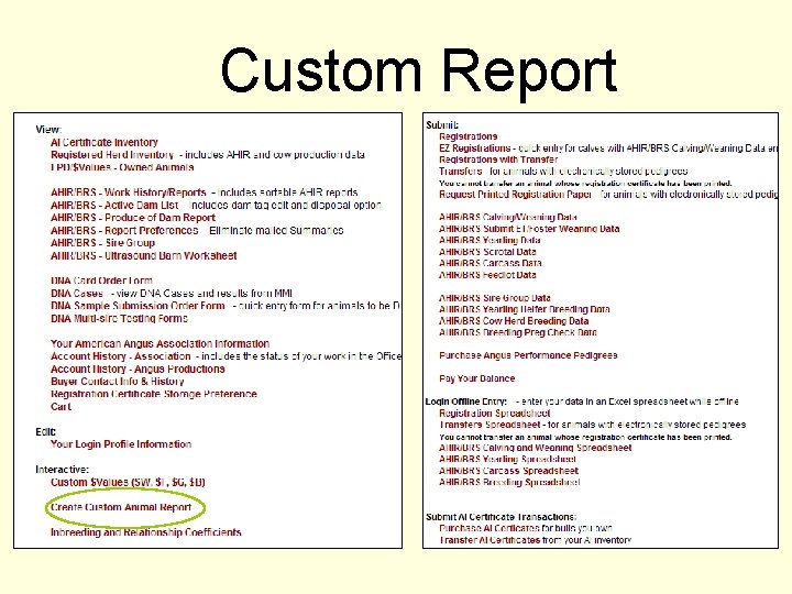 Custom Report 