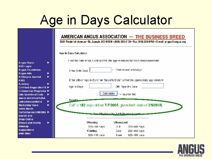 Age in Days Calculator 