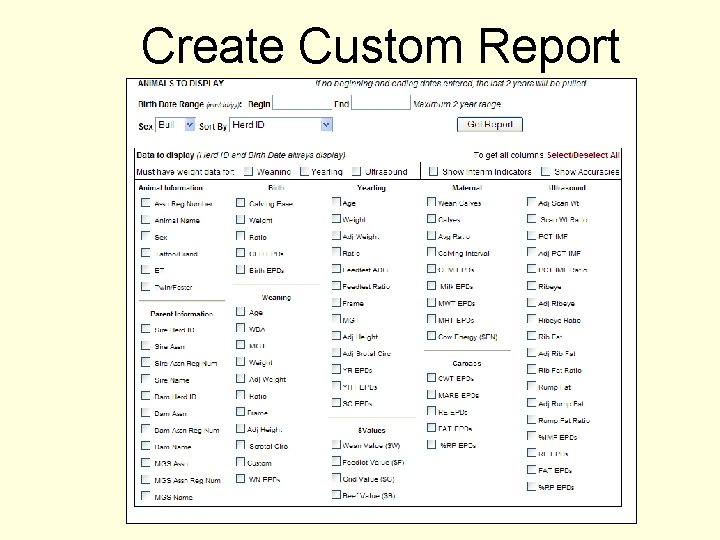 Create Custom Report 