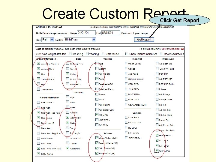 Create Custom Report Click Get Report 