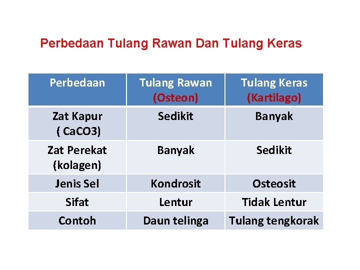 Perbedaan Tulang Rawan Dan Tulang Keras Perbedaan Zat Kapur ( Ca. CO 3) Zat