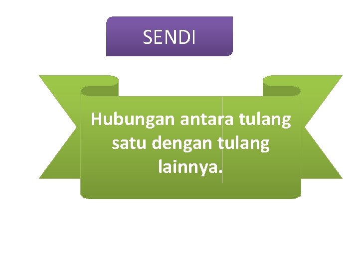 SENDI Hubungan antara tulang satu dengan tulang lainnya. 