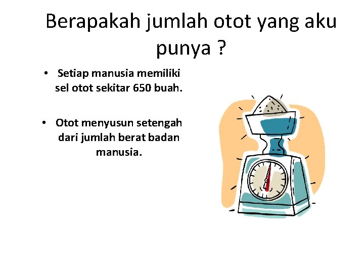 Berapakah jumlah otot yang aku punya ? • Setiap manusia memiliki sel otot sekitar