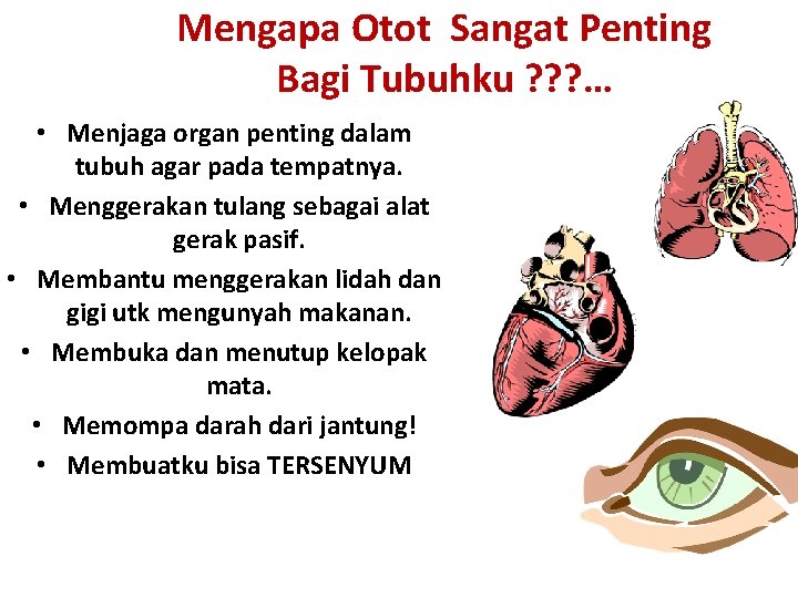 Mengapa Otot Sangat Penting Bagi Tubuhku ? ? ? … • Menjaga organ penting